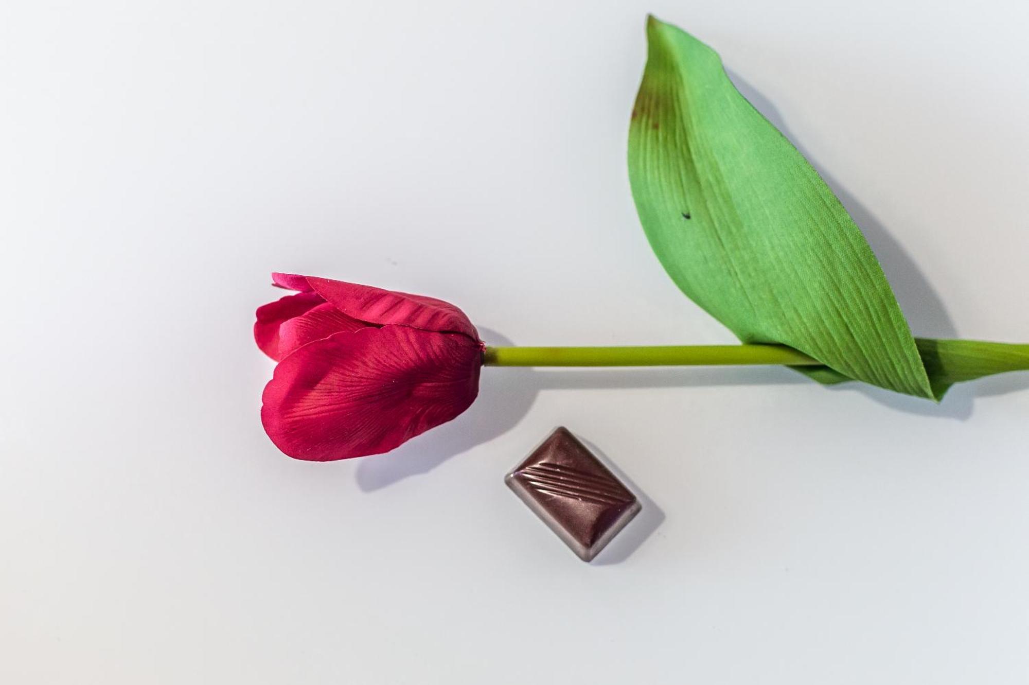 Chocolate Appartamento