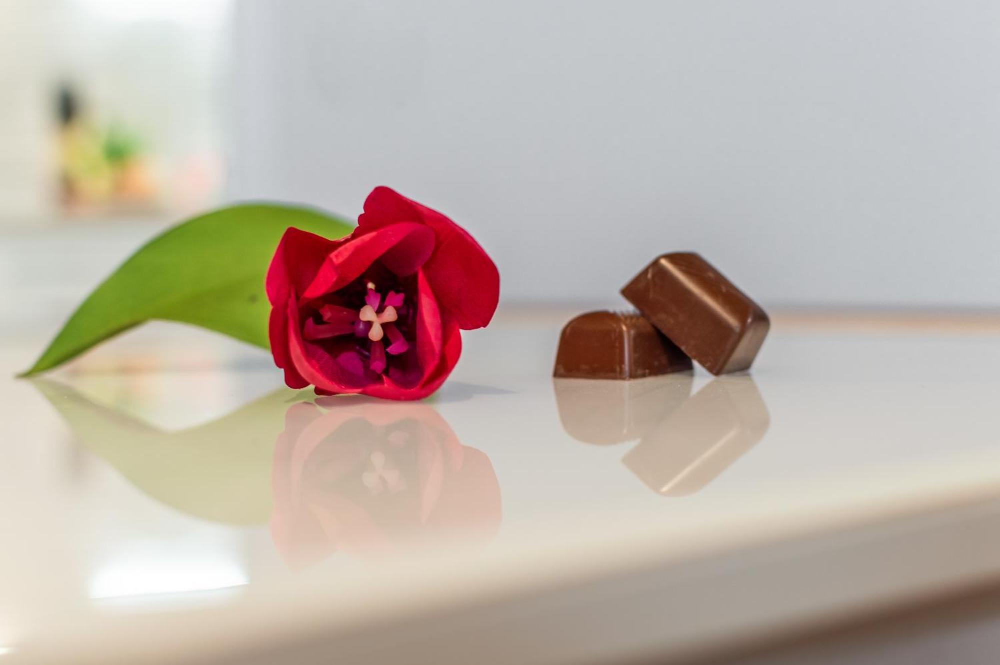 Appartamento Chocolate